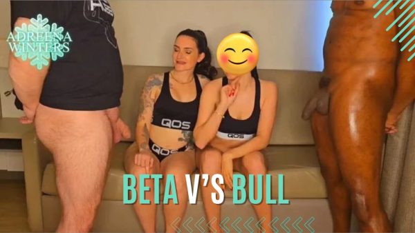 Beta v's Bull